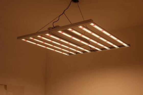 Lampade per la coltivazione in serra pieghevoli da 8T 800W 1000w Hps