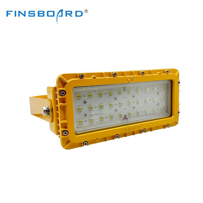 Luce a prova di esplosione per luoghi pericolosi 100V